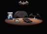 Batman- Arkham Asylum Collector's Edition - XBOX 360