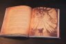 Книга Diablo III: Book of Cain by Deckard Cain (Книга Каина) Мягкий переплёт (Eng)