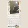 Каледарь Гарри Поттер 2022 Harry Potter Collectors Edition Calendar