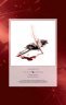 Блокнот Assassins Creed Ruled Journal (Insights Journals) (Hardcover)