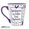 Чашка HARRY POTTER Letter from Hogwarts кружка Гарри Поттер письмо из Хогвартса 