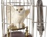 Статуетка Harry Potter Miniature Hedwig in Cage