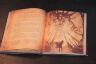 Книга Diablo III: Book of Cain by Deckard Cain (Книга Каїна) М'який палітурка (Eng)