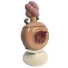 Плюмбус Солонка и Перечница Рик и Морти 8'' Plumbus 2 in 1 Salt and Pepper Shakers