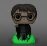 Фігурка Funko Pop Harry Potter with floo powder (GLOW) фанко Гаррі Поттер (Funko Exclusive) 153