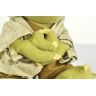 Мягкая игрушка Star Wars -  Yoda  Plush