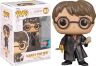 Фігурка Funko Harry Potter with Basilisk Fang and Sword фанко Гаррі Поттер меч ікло (Exclusive 2022 FC) 147