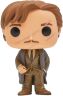 Фігурка Funko Pop Harry Potter: Remus Lupin Ремус Люпин фанко 45